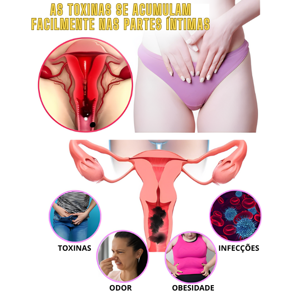 Absorventes  ODALIT™ - (Tratamento Completo 1 MÊS) - Frete Grátis – imagem 3